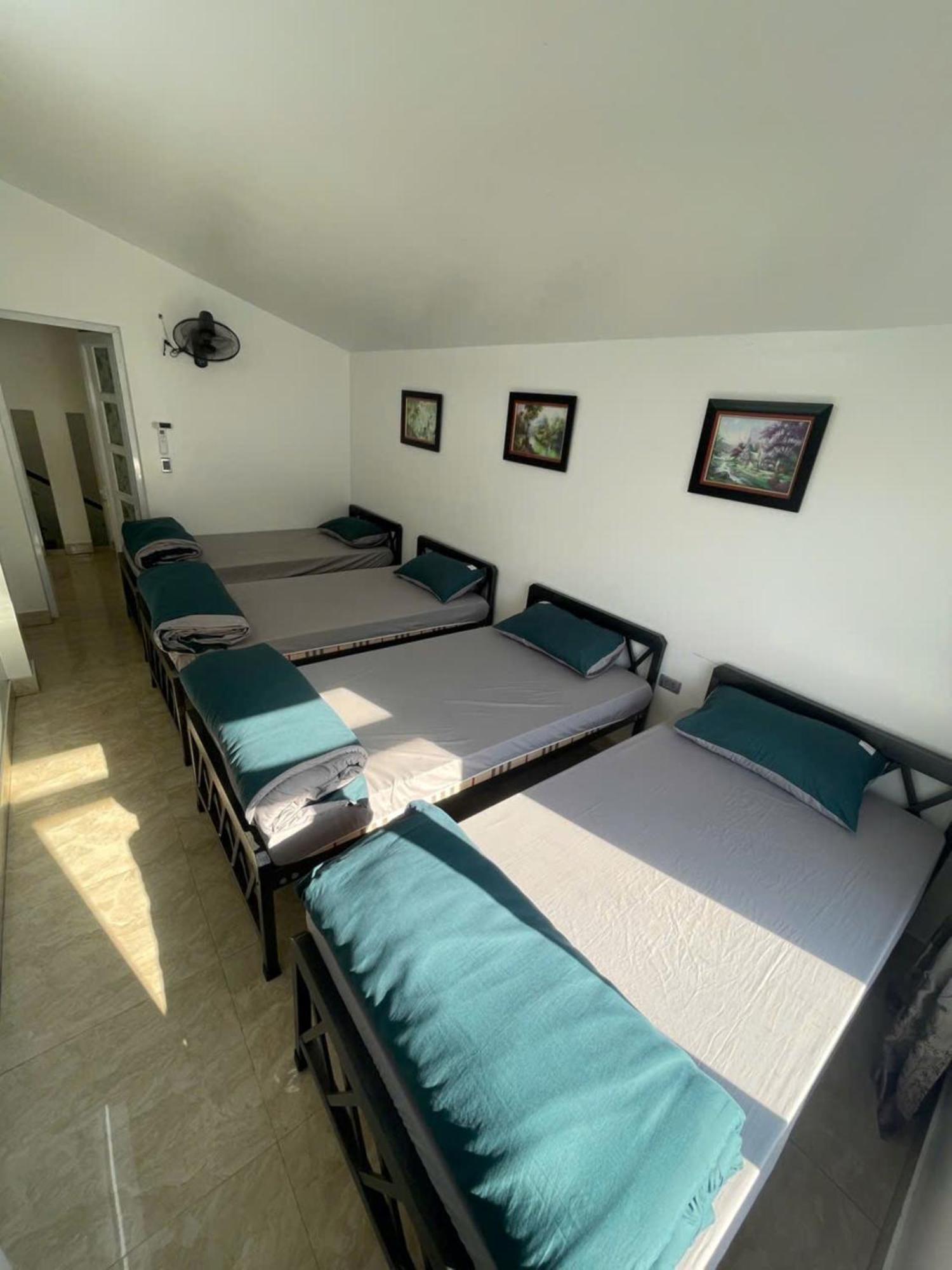 Voi Meo Vac Hostel & Breakfast المظهر الخارجي الصورة