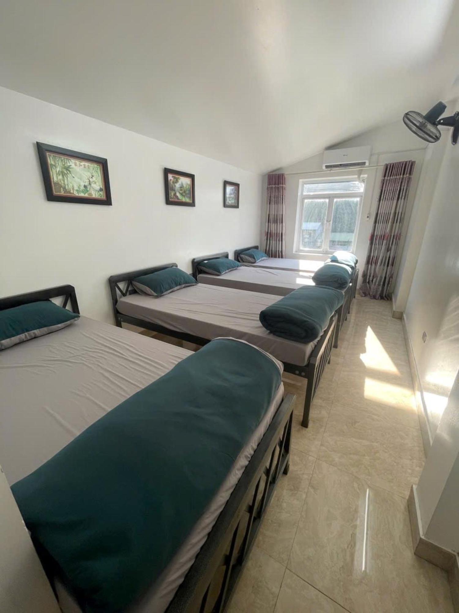 Voi Meo Vac Hostel & Breakfast المظهر الخارجي الصورة